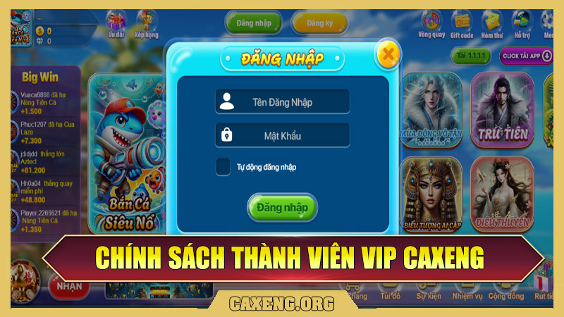 Chính Sách Cho Thành Viên VIP Tại Caxeng